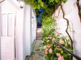 Comfort Room (3-4 Adults) – Semi Basement